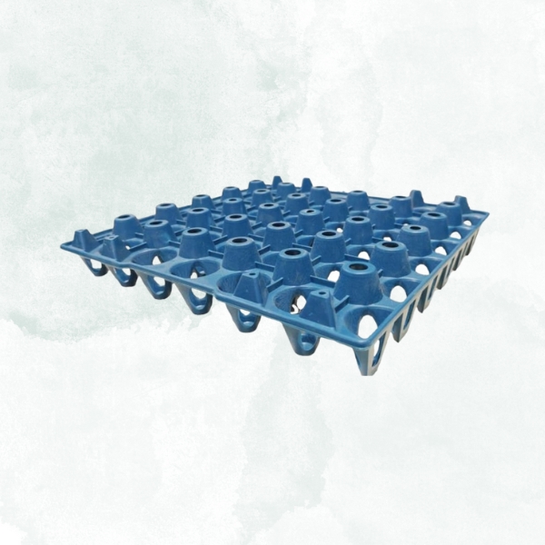 Egg Tray